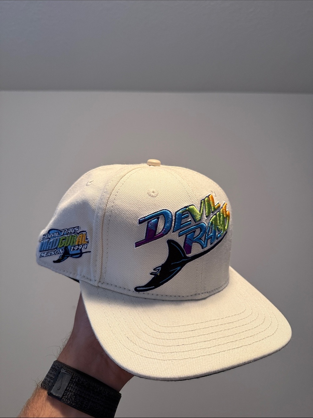 Tampa Bay Devil Rays Retro Logo Snapback Hat